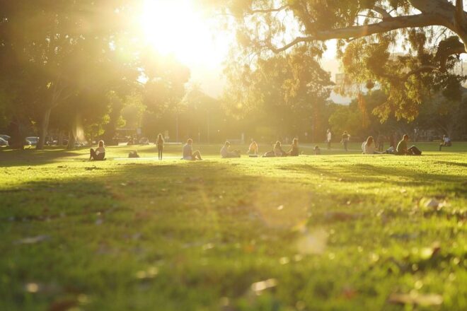 Soleil parc vitamines d