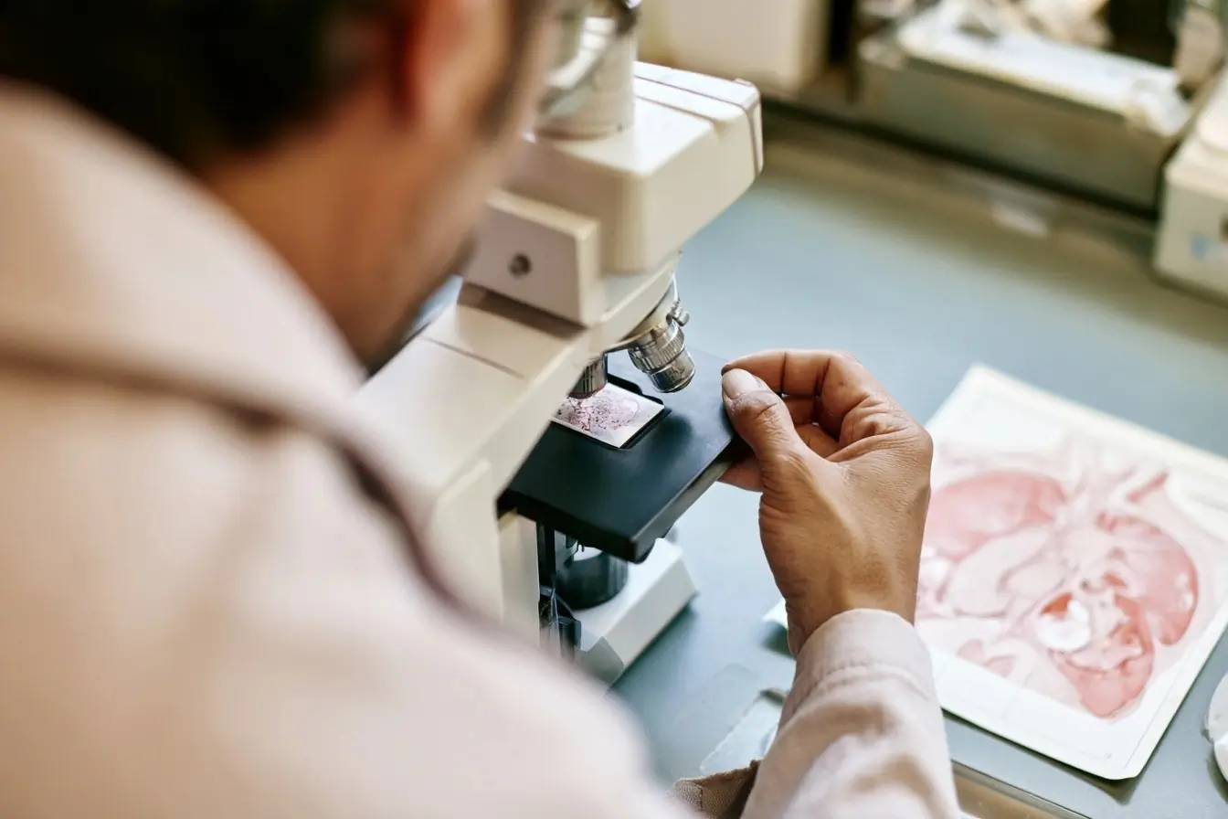 Technicien au microscope avec lame du thymus