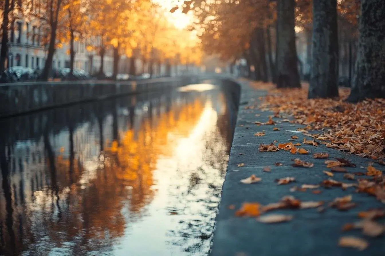 Image des reflets chatoyants des arbres d'automne dans le canal de Bruxelles au crépuscule